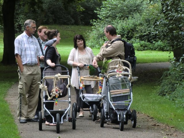 2011-09-04 Wantijpark